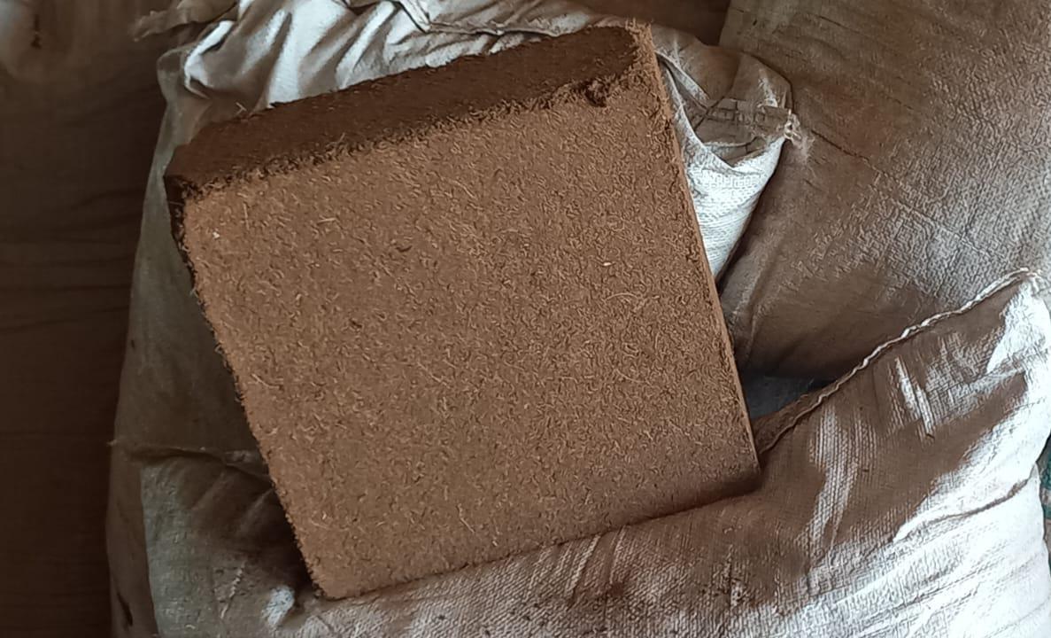 Coco Pith Bricks